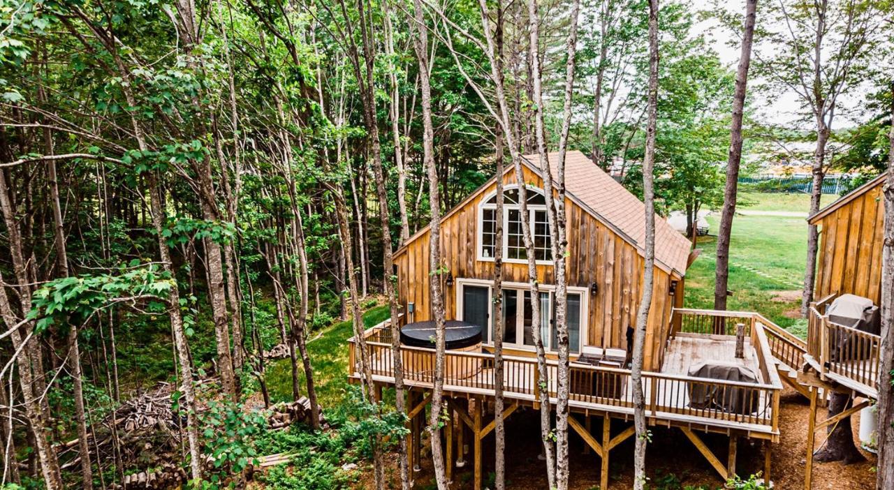 Willa Moonlight Treehouse At Belgrade Hospitality Zewnętrze zdjęcie